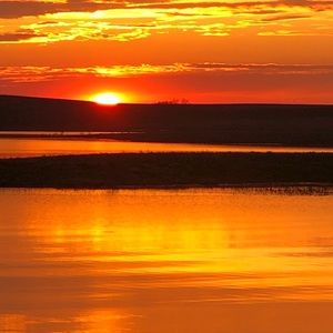 Meet your Posher, Jim